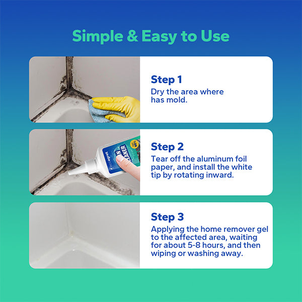 EcoClean Mold Stain Eliminator Gel