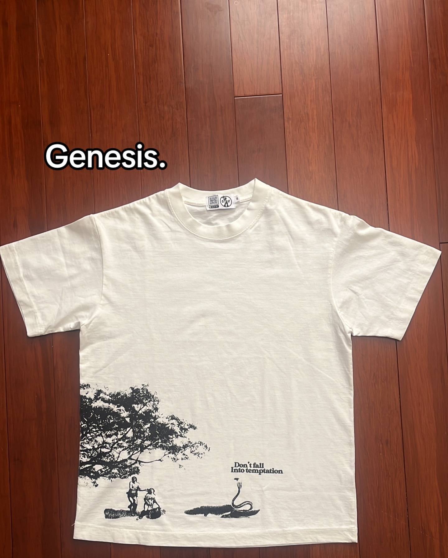Valerina Elegance Tee Collection