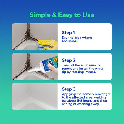 EcoClean Mold Stain Eliminator Gel